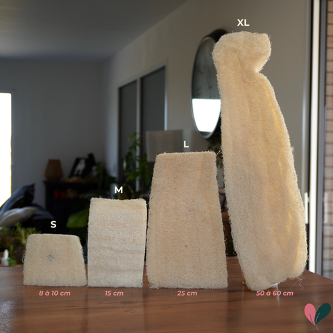 Eponge luffa brut | 4 tailles au choix