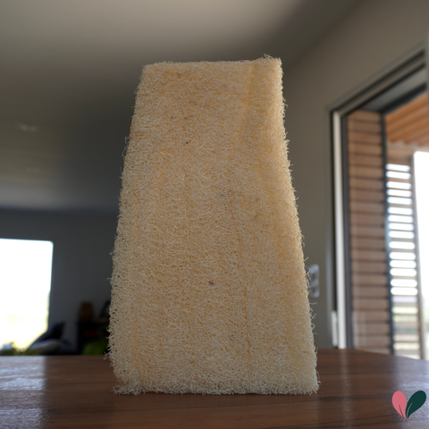 Eponge luffa brut | 4 tailles au choix