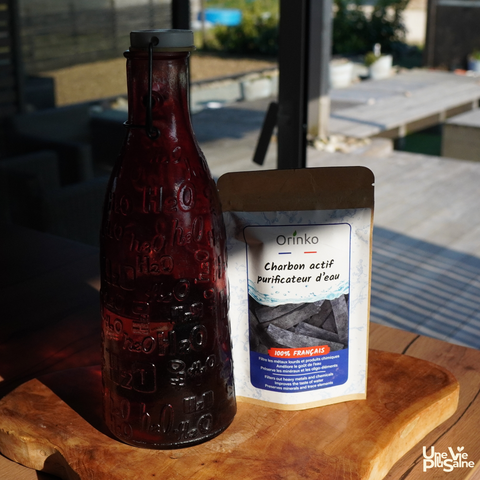 Charbon de bambou | Purifier et minéraliser naturellement son eau