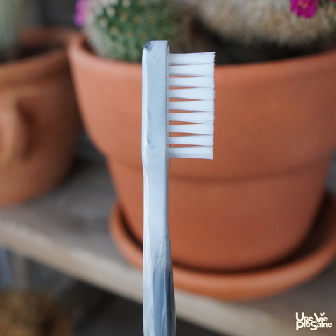 Recharge Tête de Brosse à Dents Recyclée